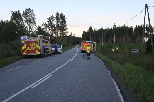 Ojaanajo Murronharjuntiellä