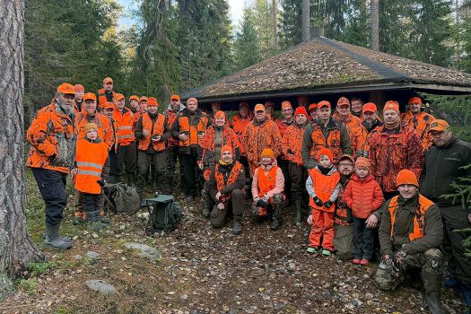 Haukan hirvijahti ohi kolmessa päivässä