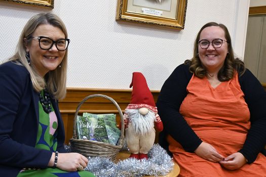 Valtuusto saa käsiteltäväkseen ”harvinaista herkkua”