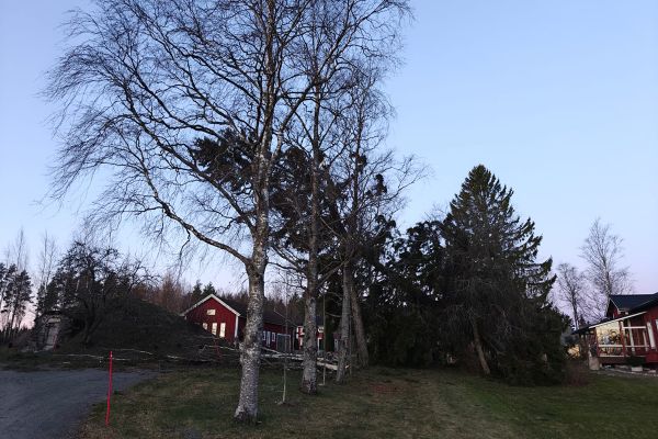 Hannes-myrsky työllistää pelastuslaitosta Hannes-myrsky työllistää pelastuslaitosta
